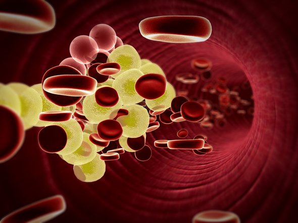 El colesterol juega un nuevo papel en la regulación de proteínas cerebrales