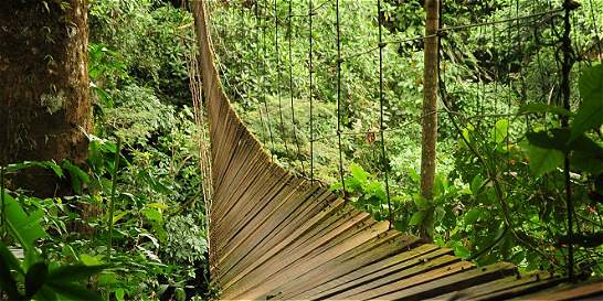 Caída del puente colgante en Villavicencio 