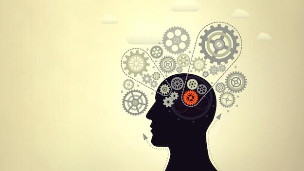 ¿Se nace o se hacen inteligentes las personas?