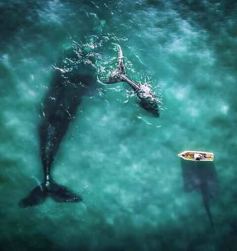 Impresionante foto con un dron