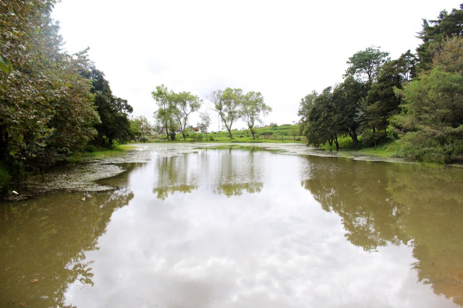 Decadencia en laguna de Casa Blanca, Xalapa 