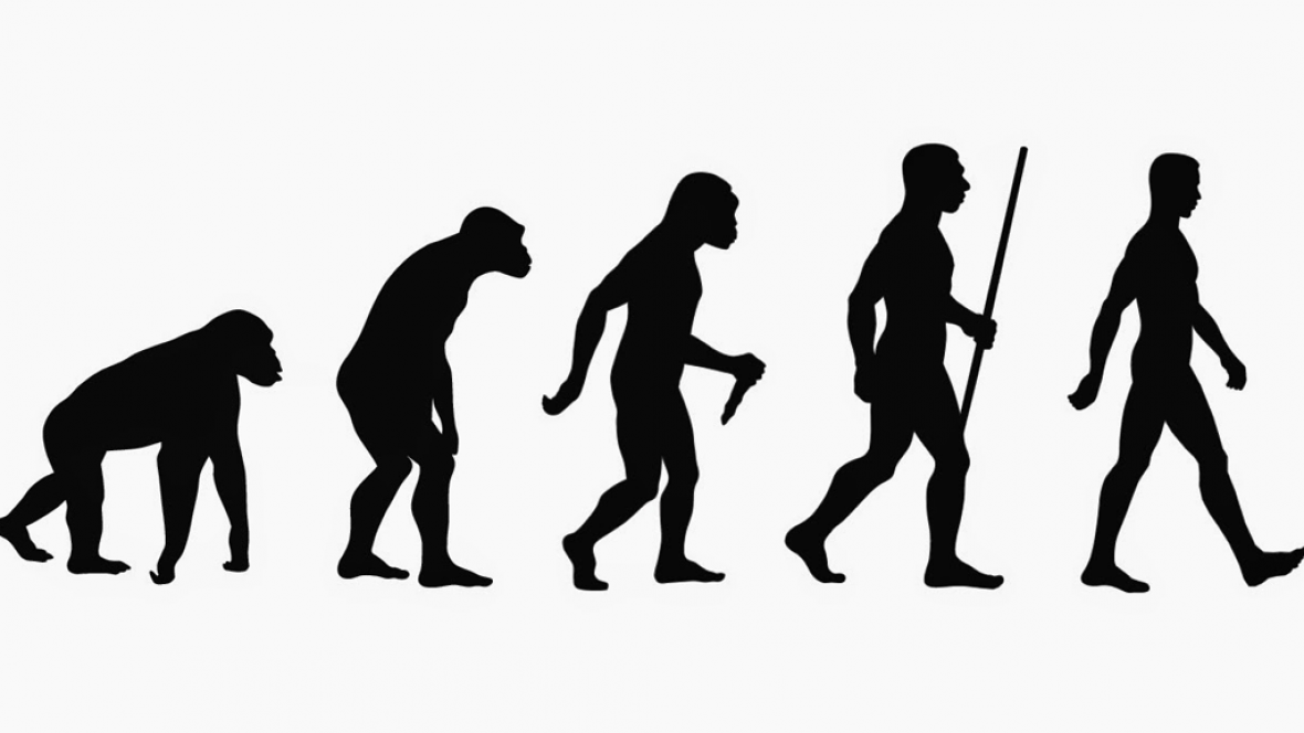 Evolución de la lengua