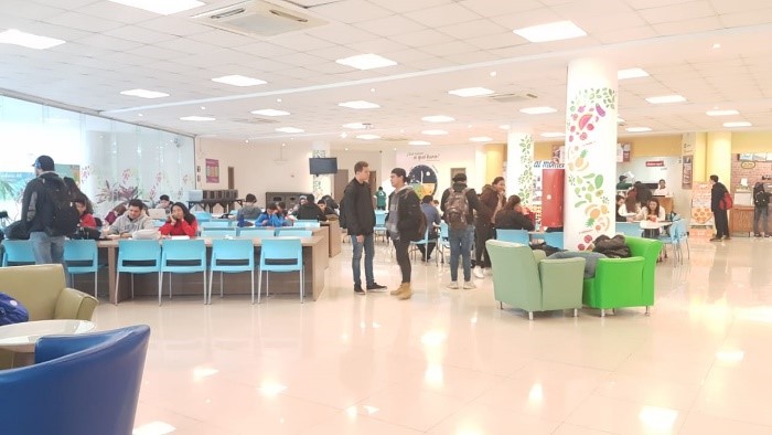 ¿Qué hacen los estudiantes en su hora libre de martes o jueves?