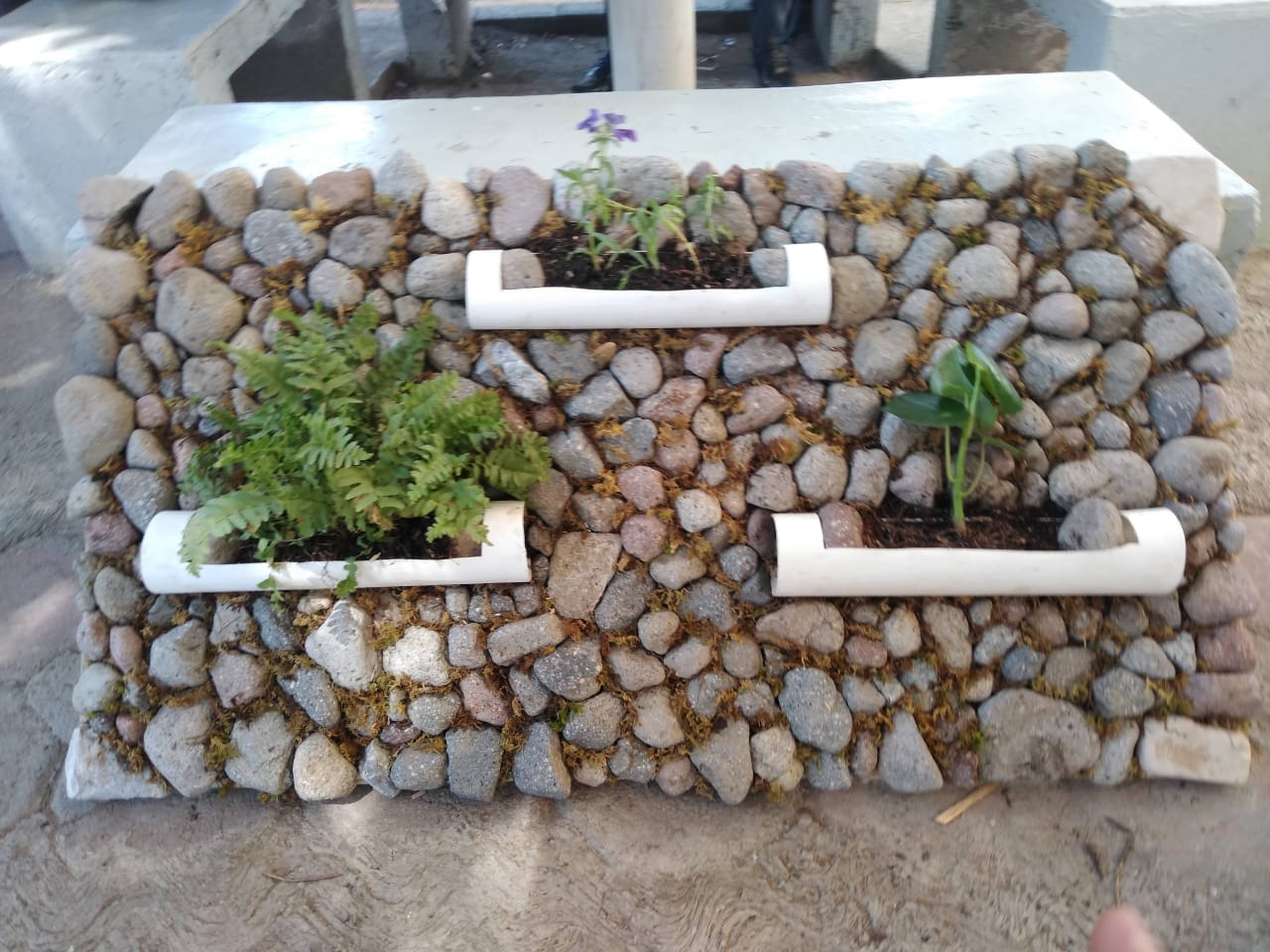 CREACION E INOVACION EN LOS JARDINES VERTICALES 