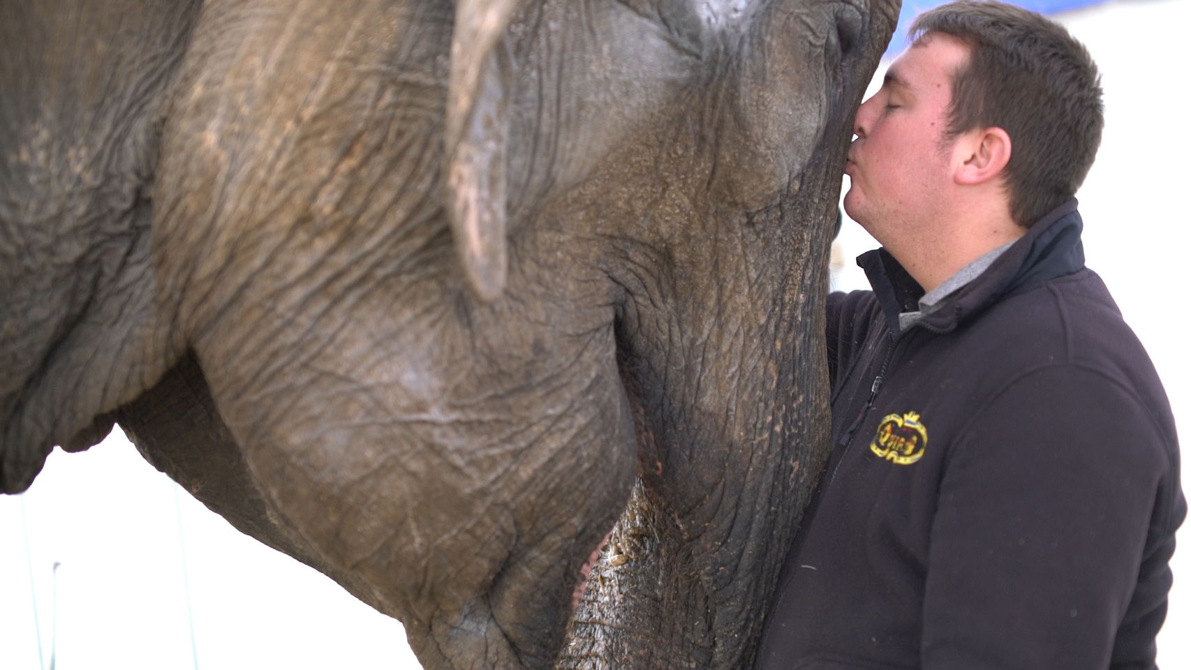 Por un circo con animales