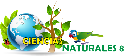 CIENCIAS NATURALES Y TECNOLOGIA 