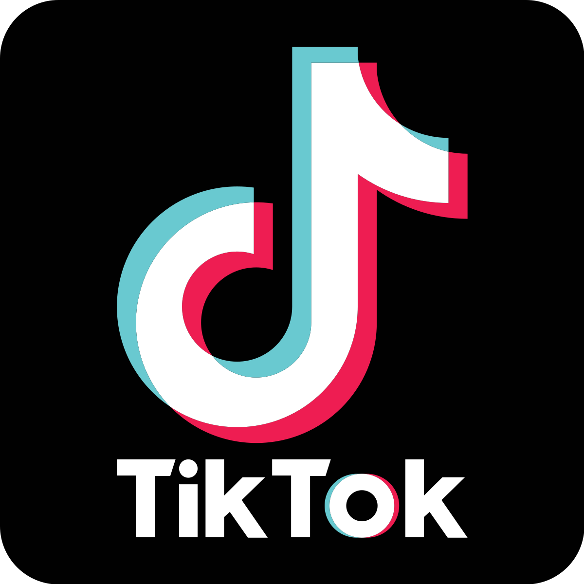 CONOCE TikTok
La app de móviles androide y apple que ha revolucionados a los jóvenes en Chile  
ha realizar juntas de niveles masivos.