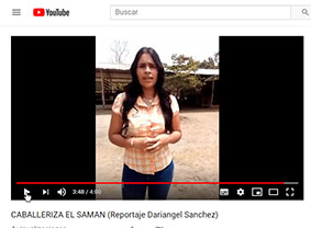 Caballeriza El Samán