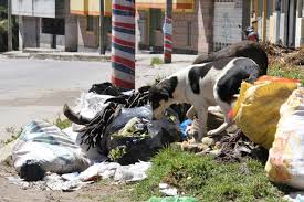 El comité del pueblo tiene serios problemas con la basura