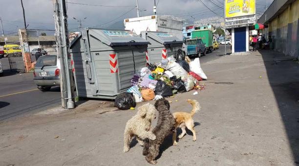 Mal olor y basura el común de “La Feria de la Ofelia”