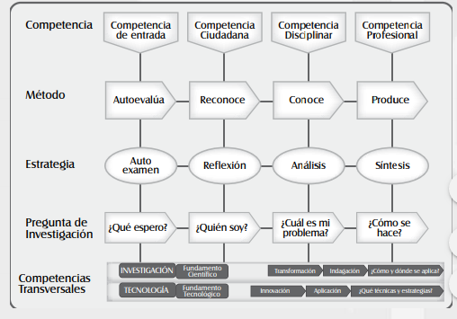 COMPETENCIA CIUDADANA 