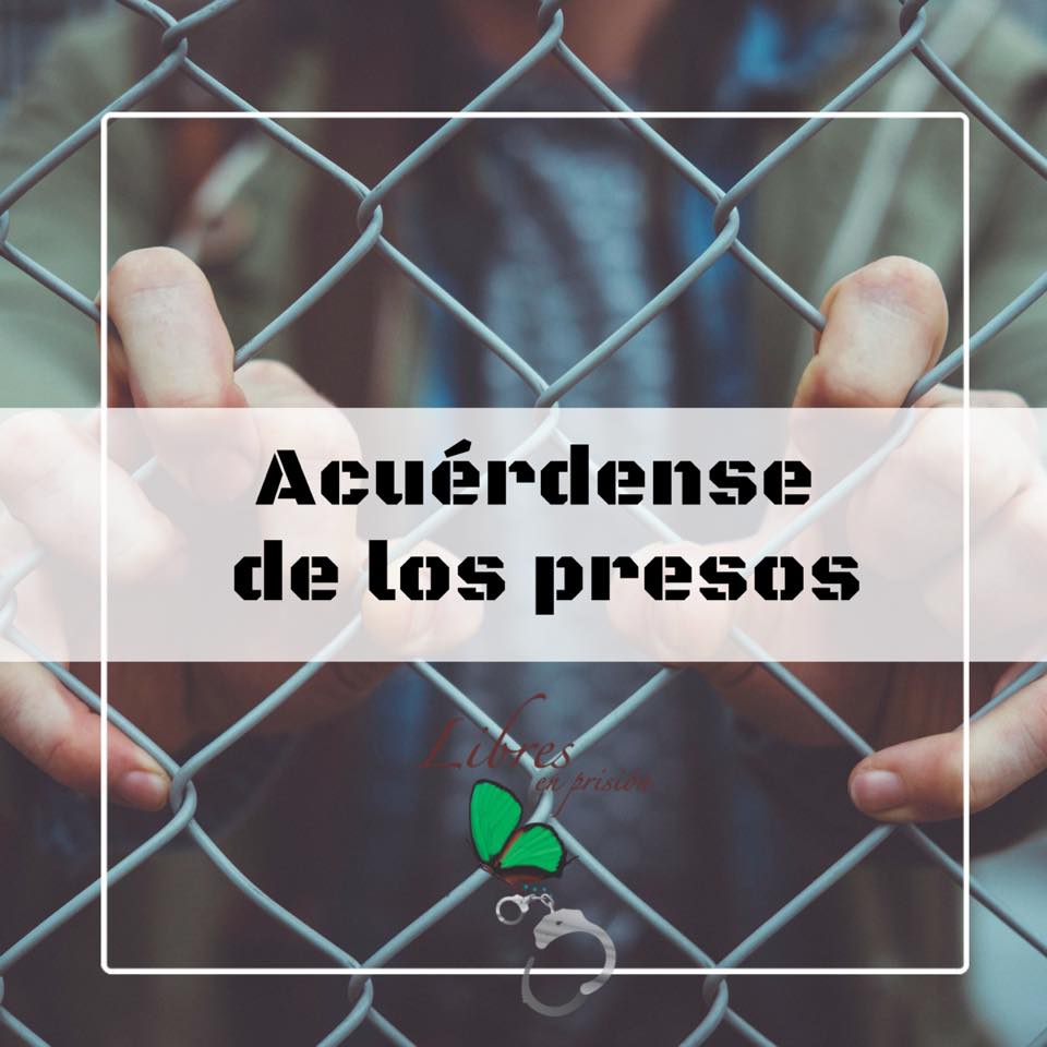 crónica del día 
