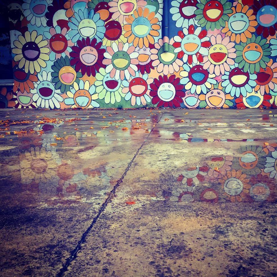 Temps de flors