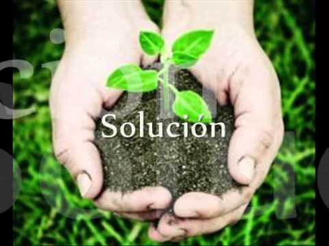 SOLUCIONES DE LA CONTAMINACIÓN DEL SUELO