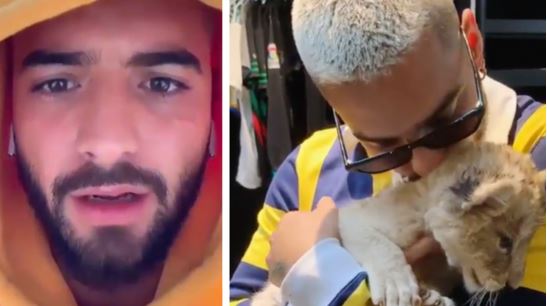 ¿MALUMA SIN REDES, SIN SHOW?