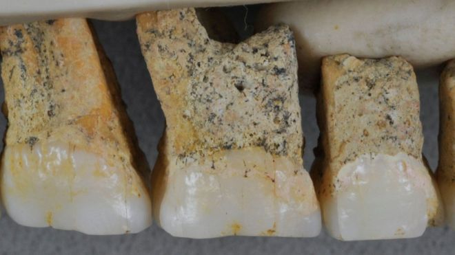Homo Luzonensis