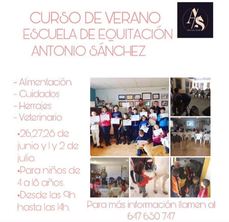  Curso de Verano Escuela de Equitación Antonio Sánchez del 26 al 28 de junio y 1 al 2 de Julio