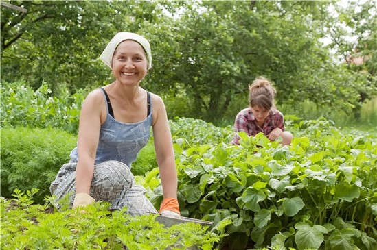 ¡Beneficios de tener una huerta casera
