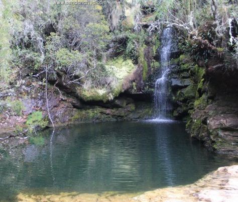 PARAMO GUACHENEQUE