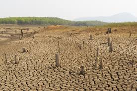 El cambio climático actual es «un fenómeno sin precedentes»
