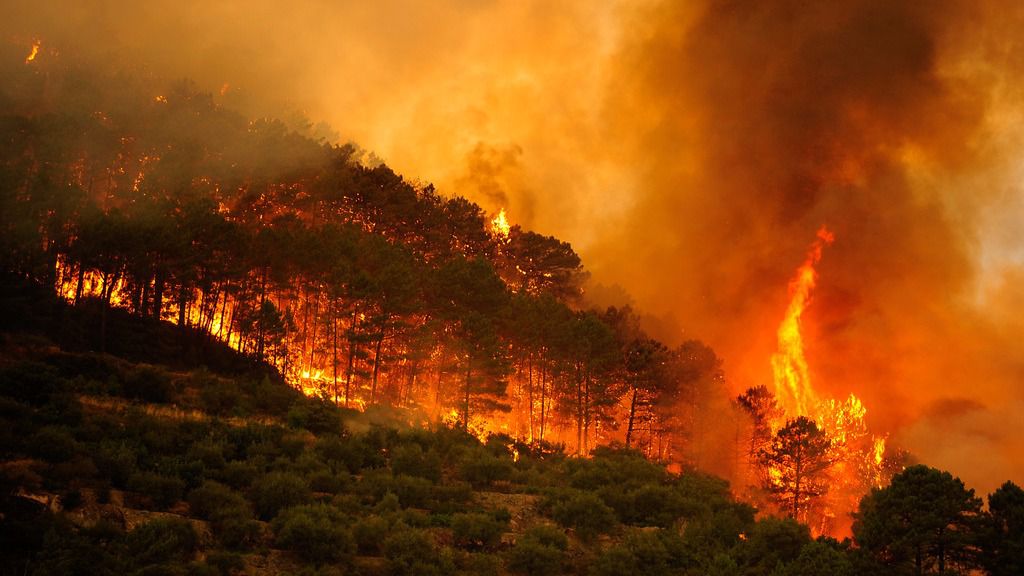 La defensa del clima