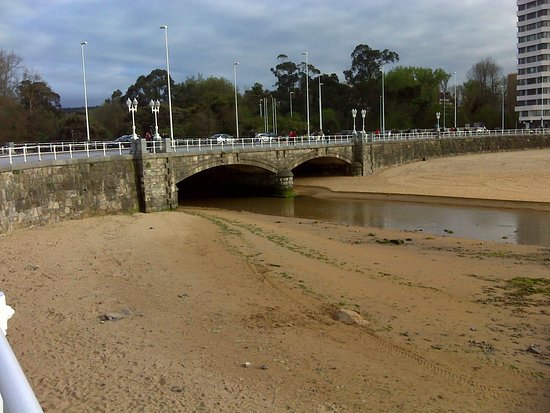 Muerte de peces en Asturias