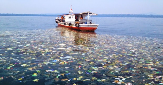 Contaminación en los mares.