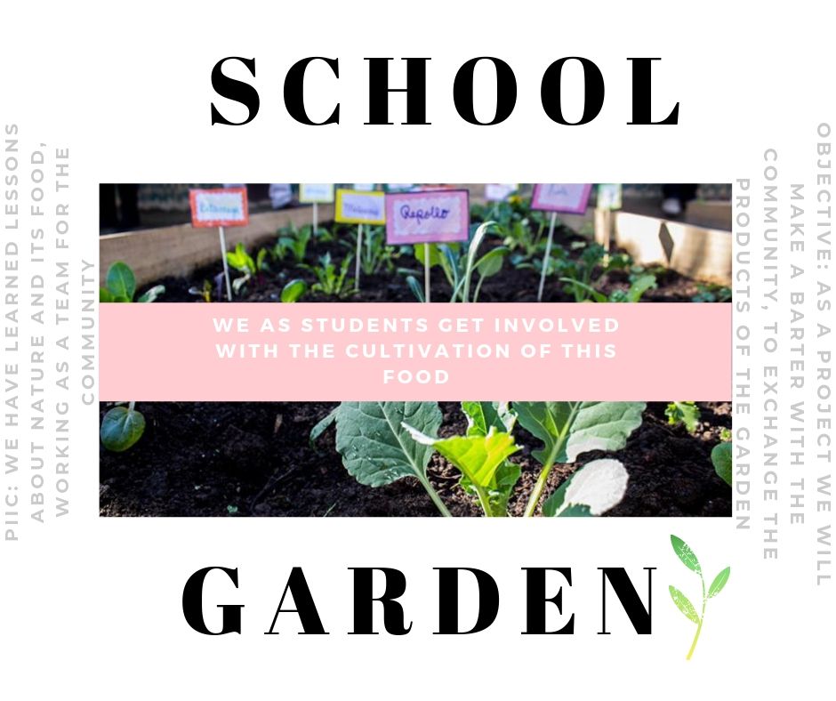 SCHOOL GARDEN: