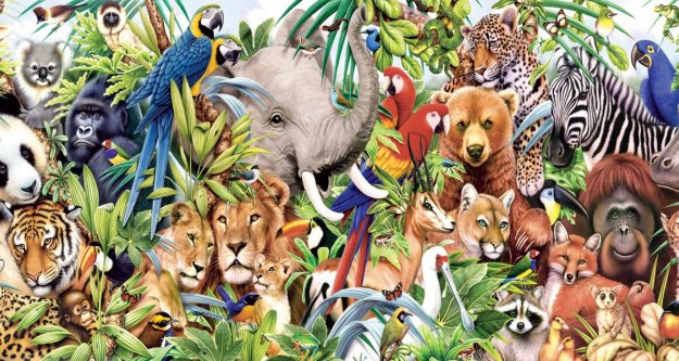  ¿Los animales están siendo tratados dignamente?