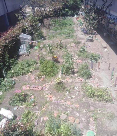 LLEVANDO EL CAMPO ALA CIUDAD 