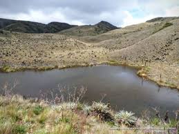 Paramo