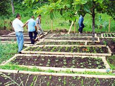 Huerta en nuestra Institución