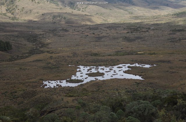 SALIDA PEDAGOGICA AL PARAMO DE GUACHENEQUE