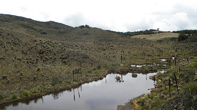 Nacimiento del rió bogota 