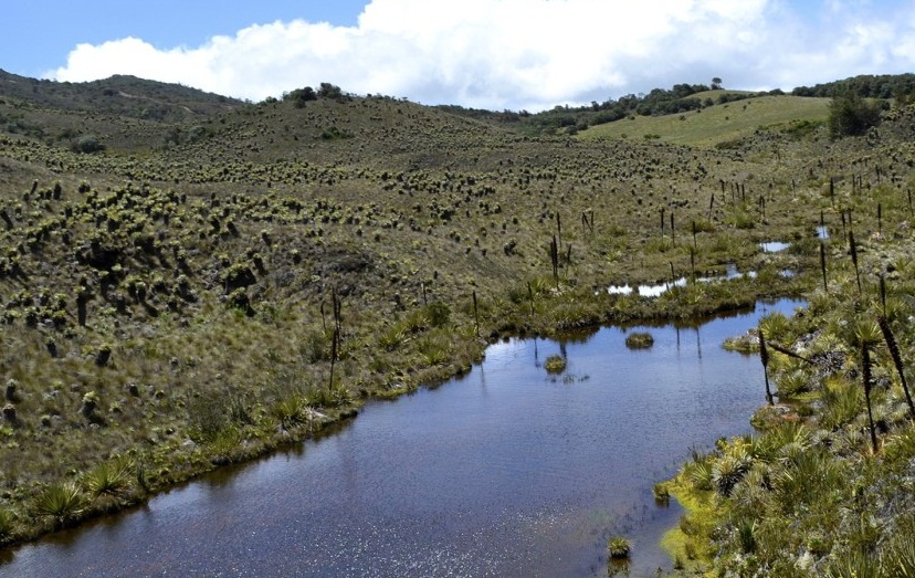 El Paramo de Guacheneque, Un Lugar Que Hace Agua Sin Depender Del Hombre