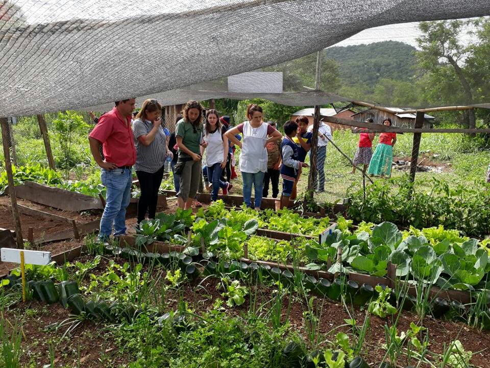 Huerta escolar