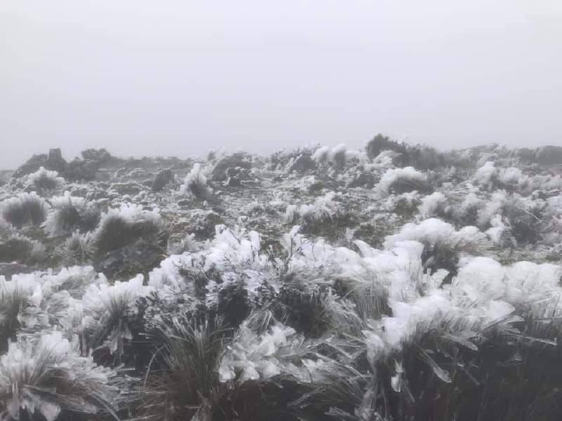 Las lagunas congeladas en el parque Nacional Cajas  