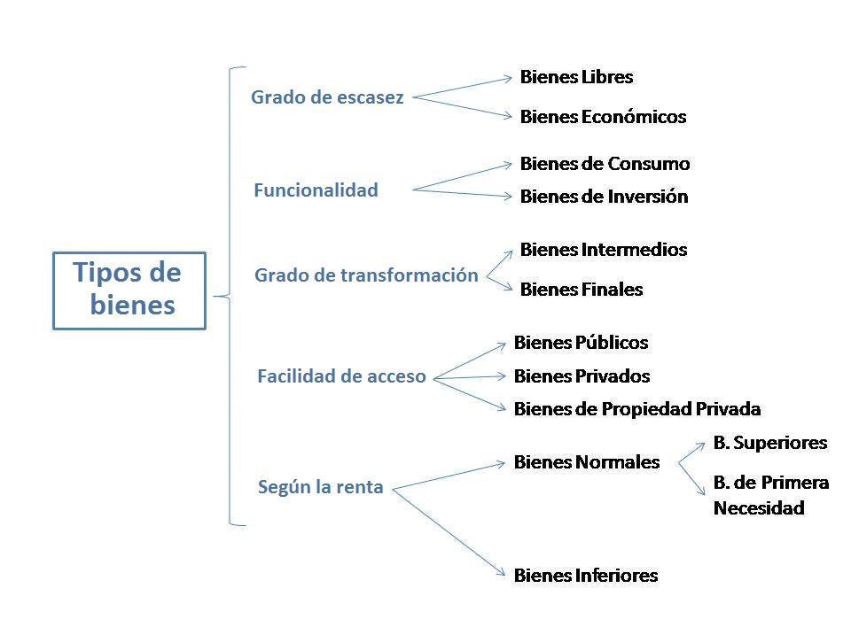 TIPOS DE BIENES