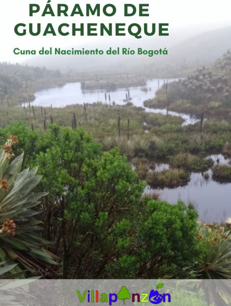 Paramo Guacheneque