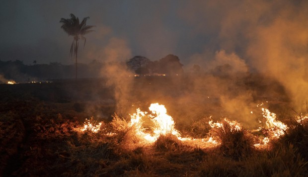 Bomberos del Perú: “No estamos preparados para atender incendios forestales”