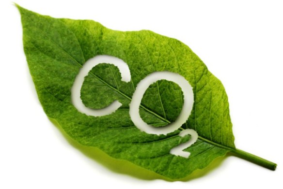 ELIMINANDO EL CO2