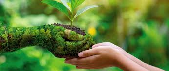 EMPIEZA LA OLA DE DESOBEDIENCIA CIVIL CLIMÁTICA:DEFENDEMOS A LA NATURALEZA