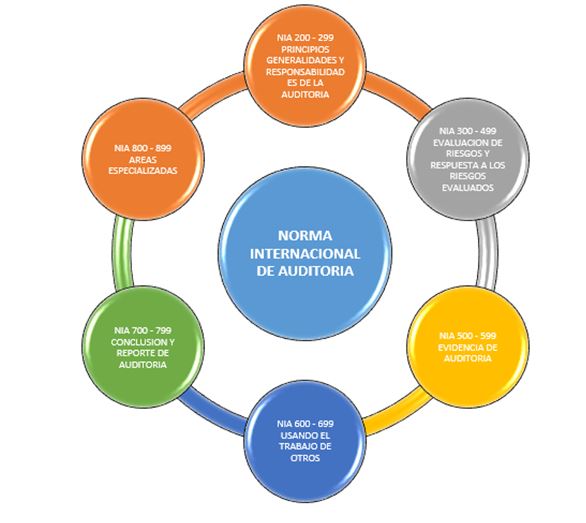 ¿QUÉ SON LAS NIA, CUÁL ES SU UTILIDAD Y ESTRUCTURE SU CLASIFICACIÓN?