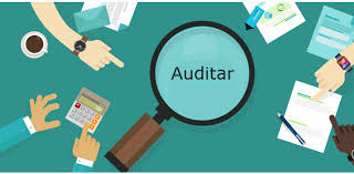 Tipos de auditoría