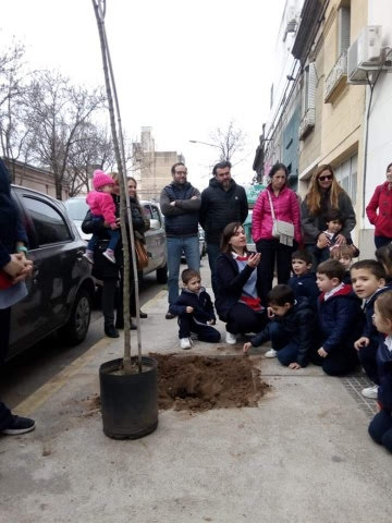 Tenemos un árbol en el jardín