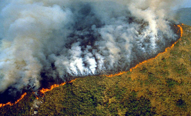 FIRE MASSACRE IN THE AMAZON