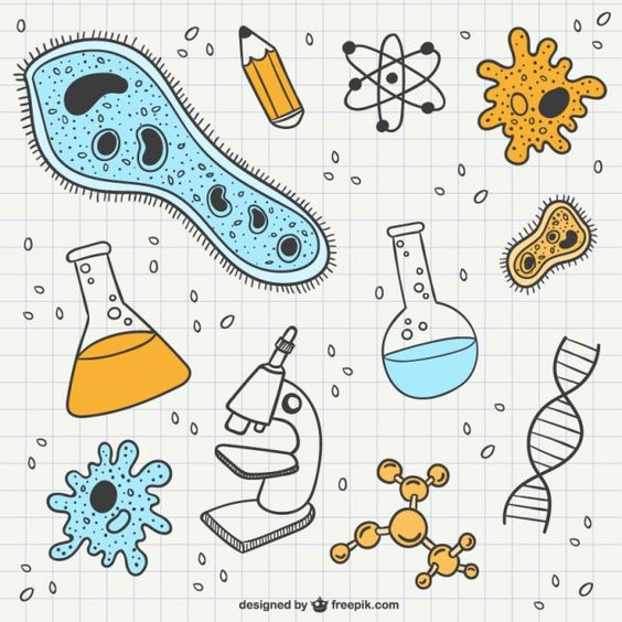 vídeos: ramas y ciencias auxiliares de la biologia