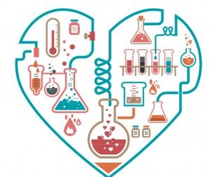 vídeos: niveles de organización de la materia 