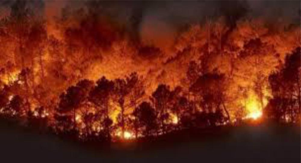 fuerte incendio en el amazonas