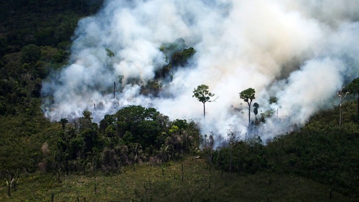 ¡El pulmón de la tierra se incendia